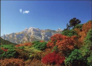 九鼎山