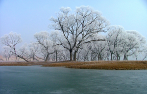 大沽河