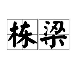 棟樑[漢語詞語]