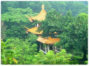 深圳仙湖植物園