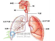 鎳中毒