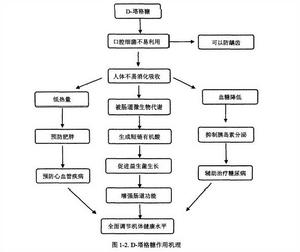 塔格糖作用機理