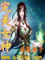 完美女神[韭菜殼子的網路小說]