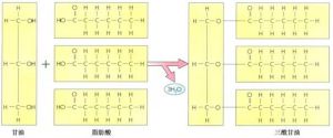 三醯甘油的合成