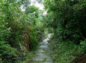 九節嶺古道