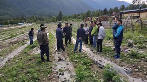 2018年5月底上察隅鎮目本村茶葉基地