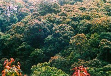 官山自然風景