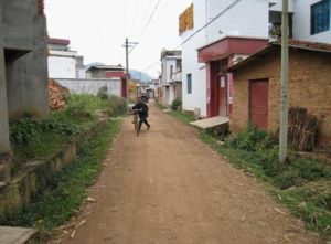 進村道路