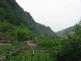 鄭家山村[福建福安市上白石鎮下轄村]