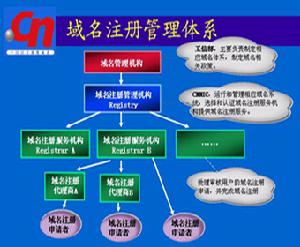 中國電信網際網路註冊用戶