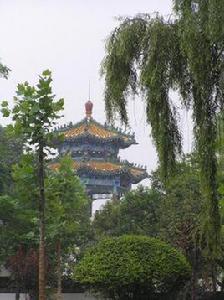 兗州少陵公園