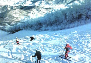 （圖）松花湖滑雪場