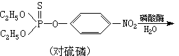 積分學