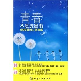 《青春不是流星雨：給90後的心靈雞湯》