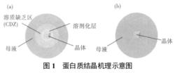 空間蛋白質晶體生長