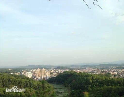 從五華山看華城全景