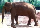 海南熱帶野生動物園