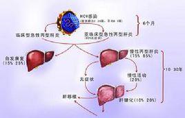 夏理彬