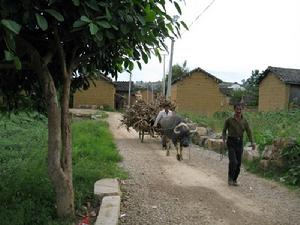 通村小路