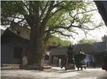 宜陽靈山寺