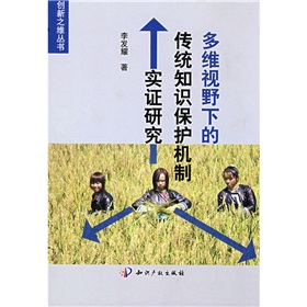 多維視野下的傳統知識保護機制實證研究