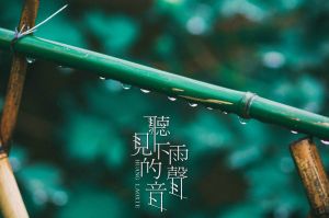 聽見下雨的聲音