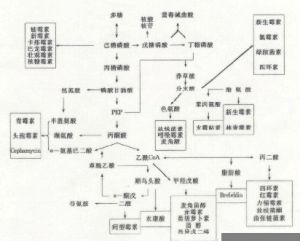 顆粒劑製法