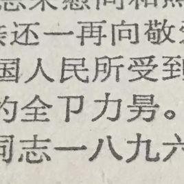 漢字廢止