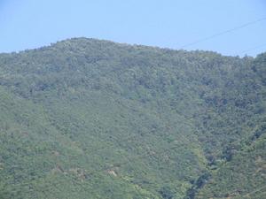 老半山村