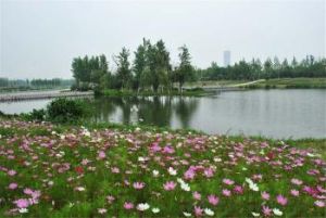 合肥方興湖公園