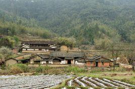 黃塘村[浙江省樂清市淡溪鎮黃塘村]