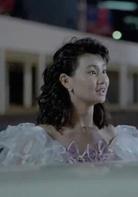 精裝追女仔[1987年王晶執導周潤發版電影]