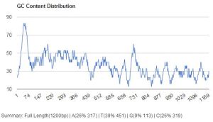 GC含量