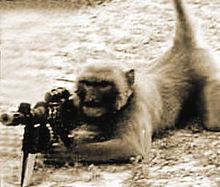 “猴子士兵”用機槍練習瞄準