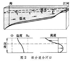 河口生態