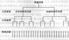 弗農智力層次結構模型