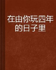 在由你玩四年的日子裡