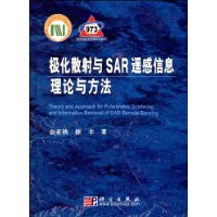 極化散射與SAR遙感信息理論與方法