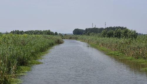 安徽三汊河國家濕地公園