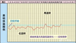 基礎體溫測定