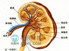 小兒腎澱粉樣變性