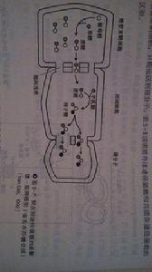 多聚體—陷阱模型