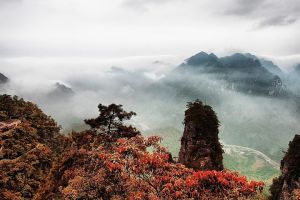 蓮花風景名勝區