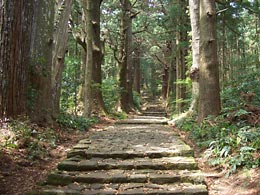 熊野參拜道中邊路