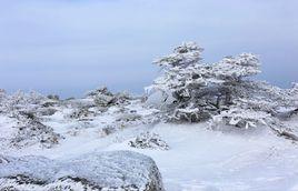 鰲山[陝西省寶雞市太白縣境內山峰]