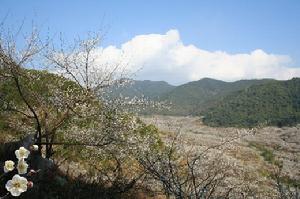 御景峰國家森林公園