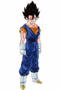 Vegetto