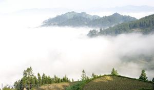 山間雲霧