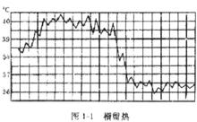 常見發熱類型曲線圖