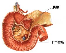 胰腺類癌